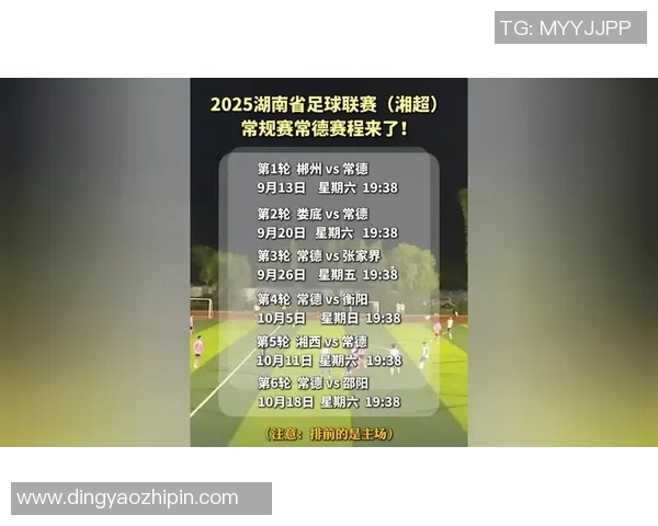 常德足球明星盘点与成就分析探索他们的职业生涯与影响力