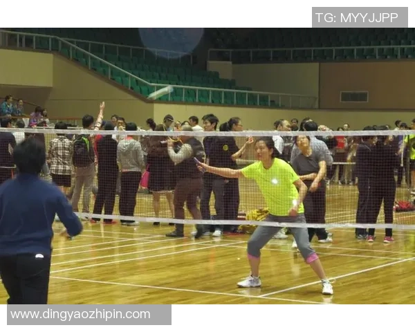 深入分析北京羽毛球队的运营策略与发展模式探讨